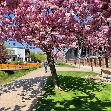 Auszeit Bad Dürkheim